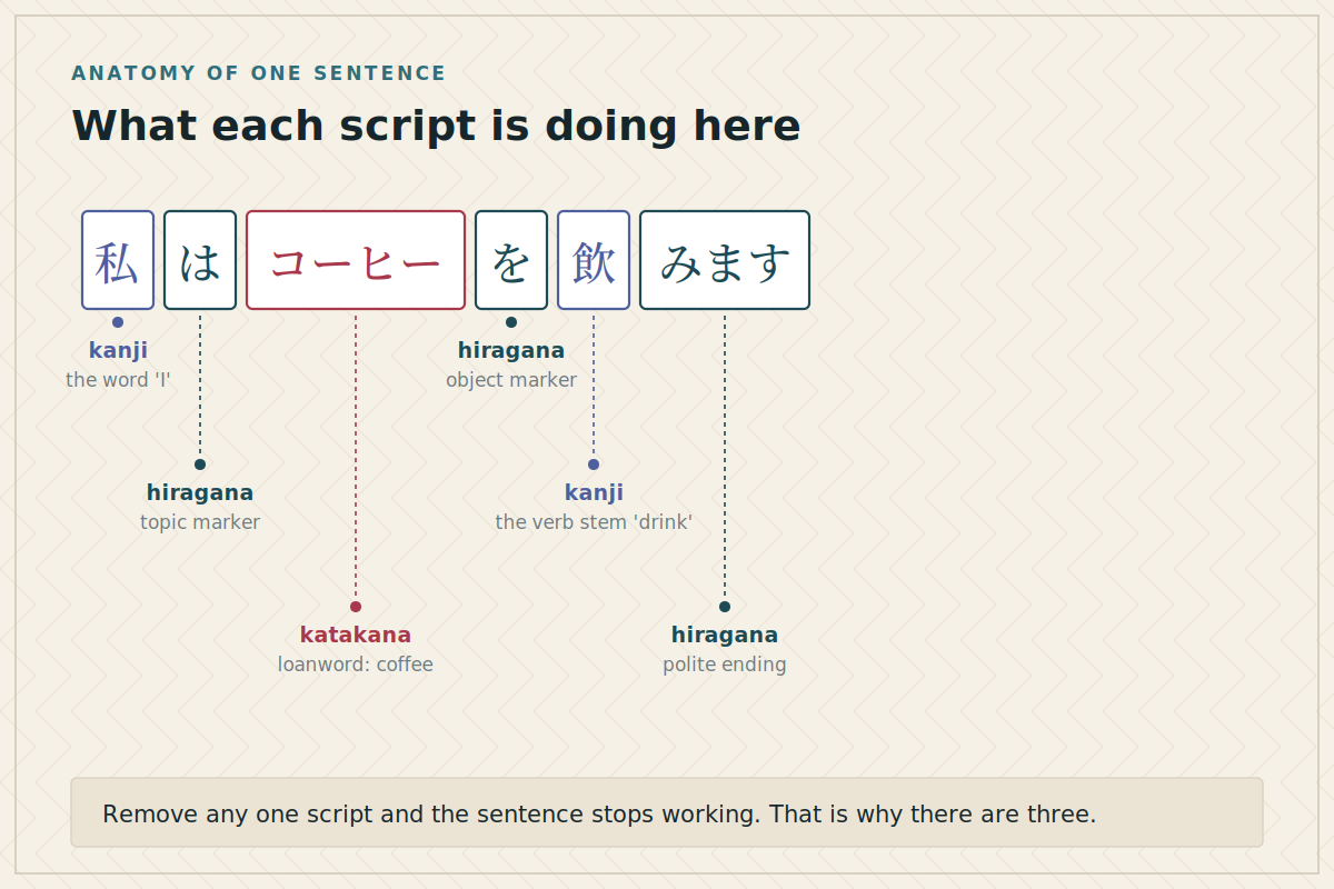 A Japanese sentence broken into parts with each script colour-coded and labelled with its function