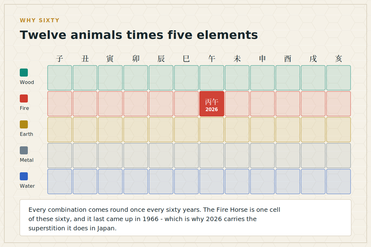 Twelve animals times five elements Grid of twelve animals by five elements showing all sixty combinations with the 2026 Fire Horse highlighted