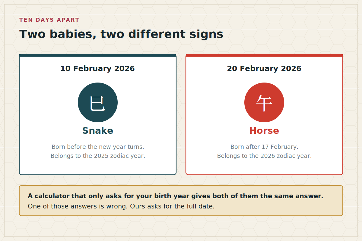 Two birth dates ten days apart in February 2026 shown with different zodiac signs, Snake and Horse