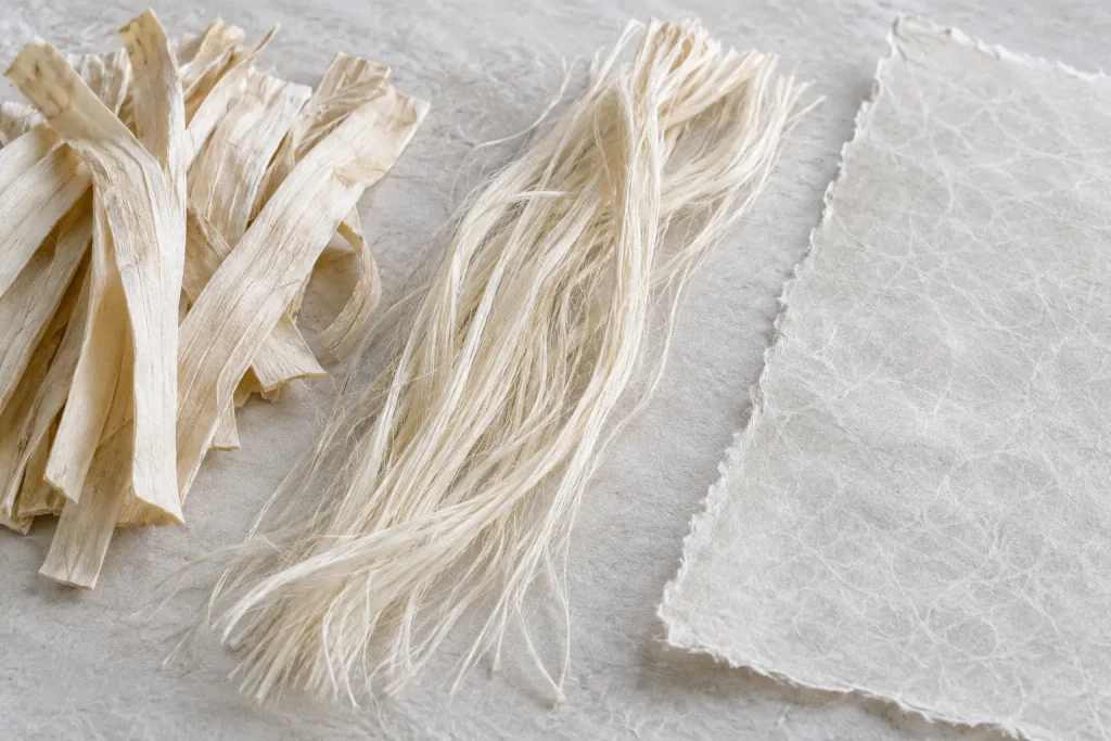 Cleaned kōzo bark, separated bast fibers and one finished sheet of handmade washi